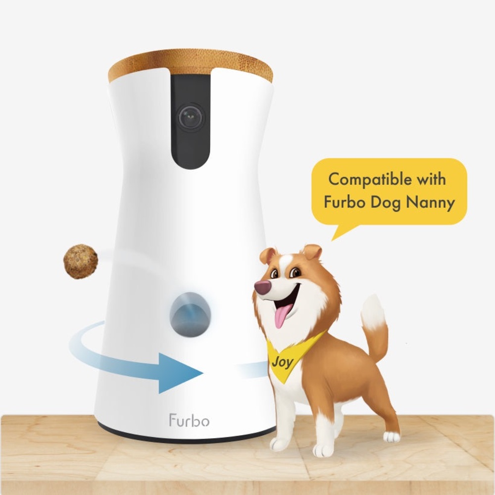 helps your dog's separation anxiety helps you take care of your dog whenever